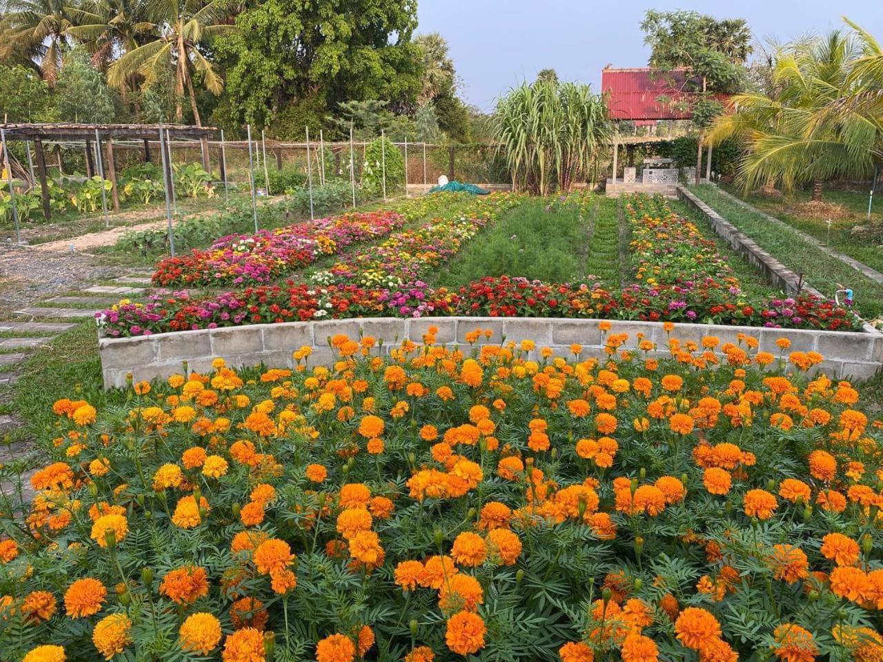 Ganesha Kampot Resort Dış mekan fotoğraf
